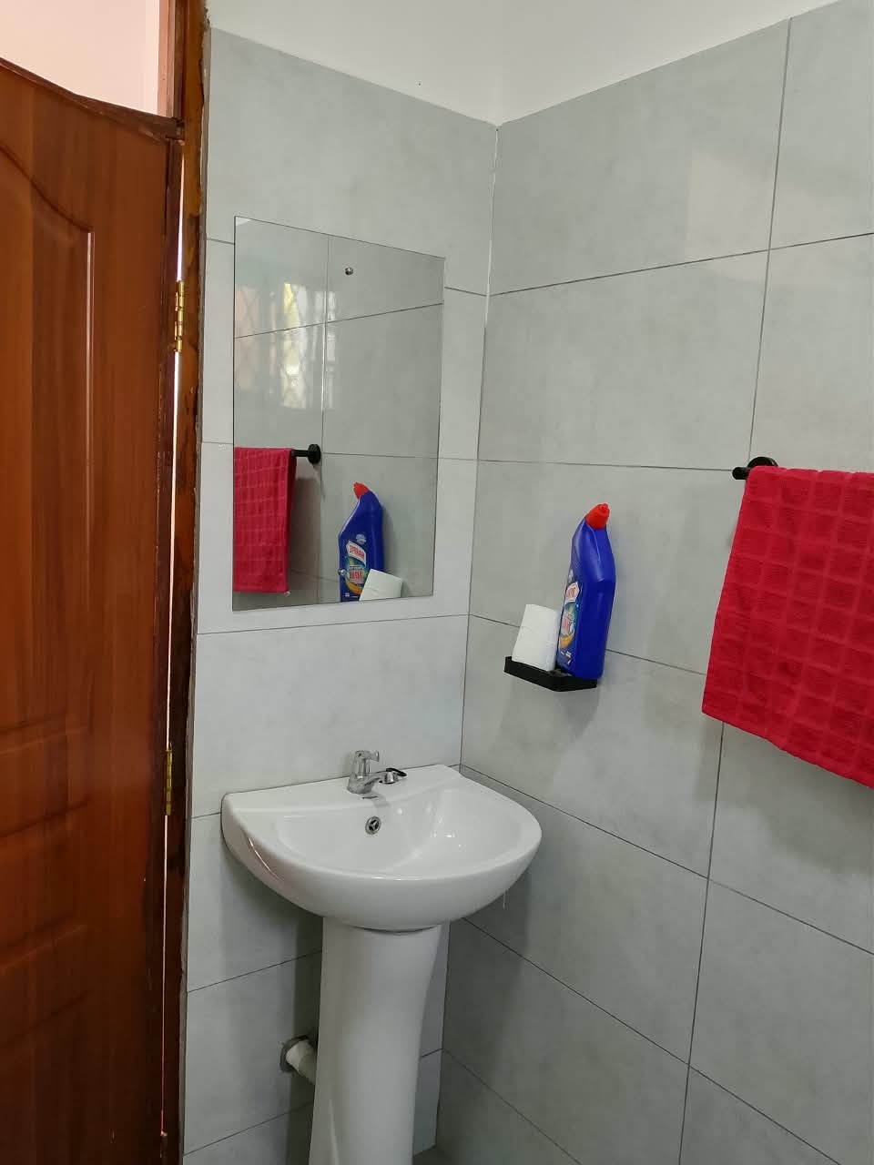 First floor standard apartment bathroom at @Dawn's Ville